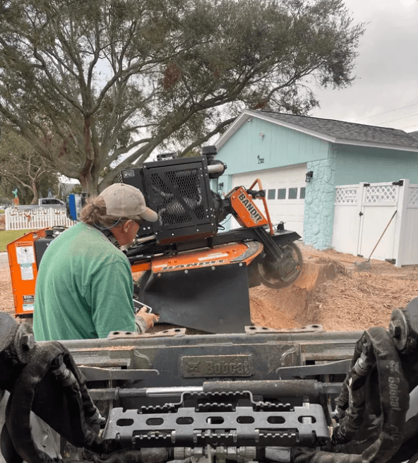 Stump grinding, residential yard