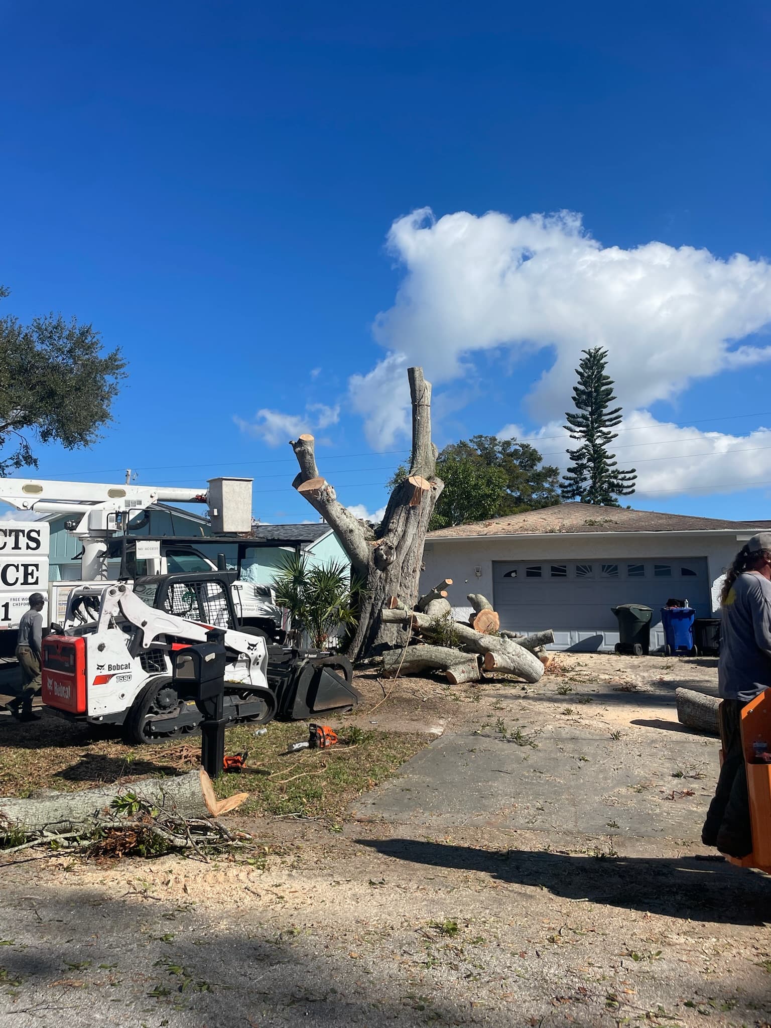 Storm Prep & Cleanup